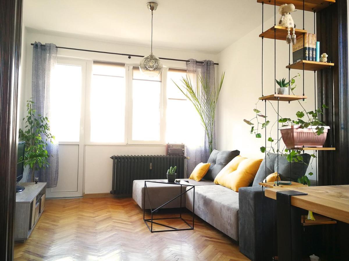 Sunny Downtown Apartment For 4 Sofya Dış mekan fotoğraf